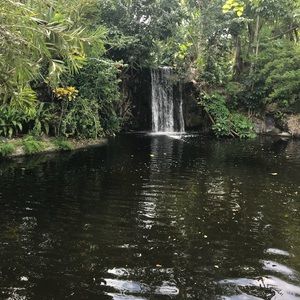 Meet your Posher, Leon